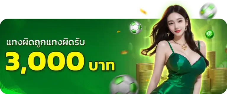 แทงถูกแทงผิดรับ 3,000บาท